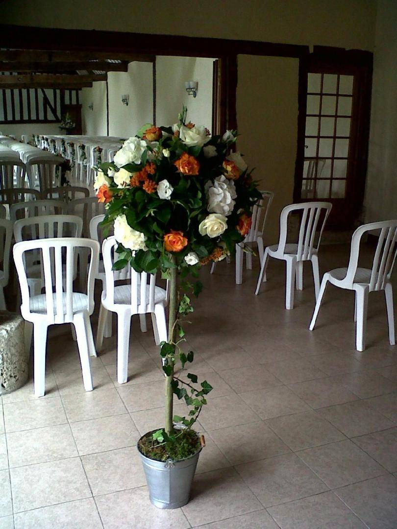 ceremonie exterieur-mimosa (2)