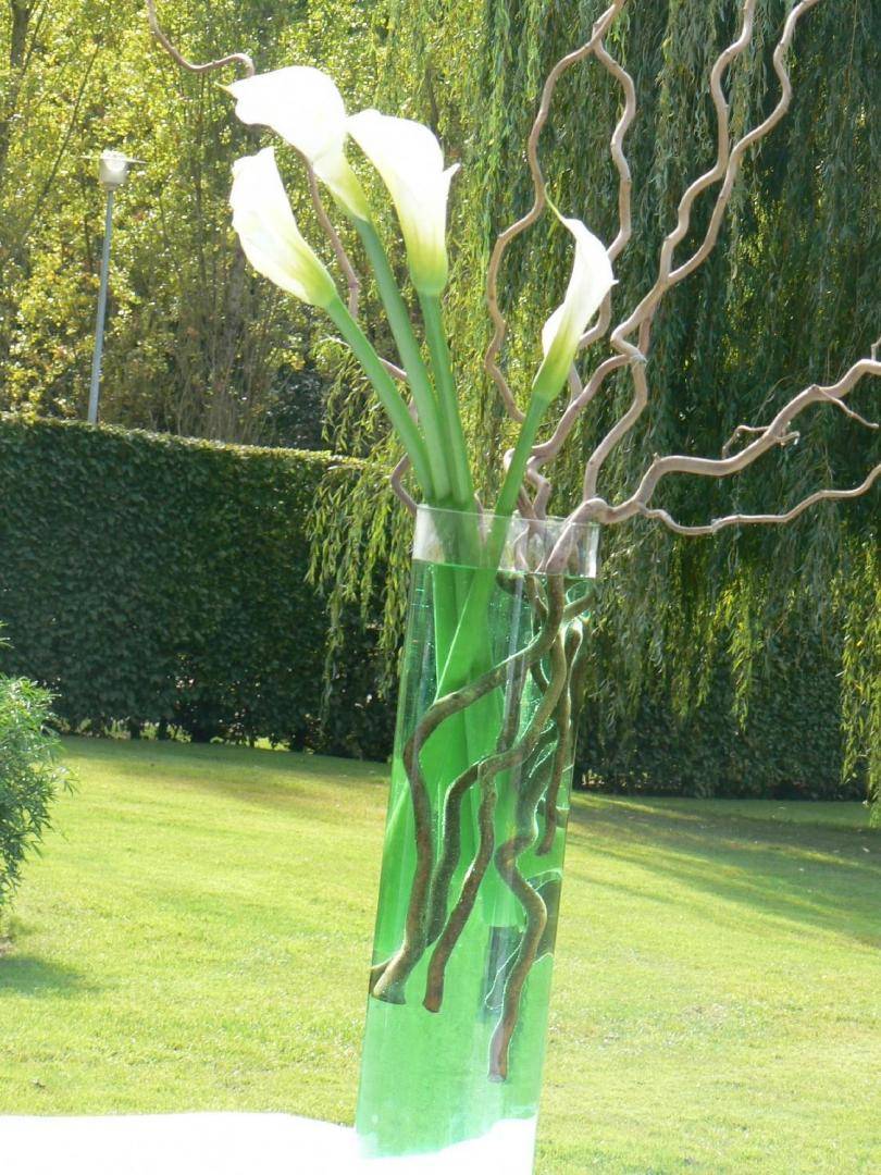 ceremonie exterieur-mimosa (7)