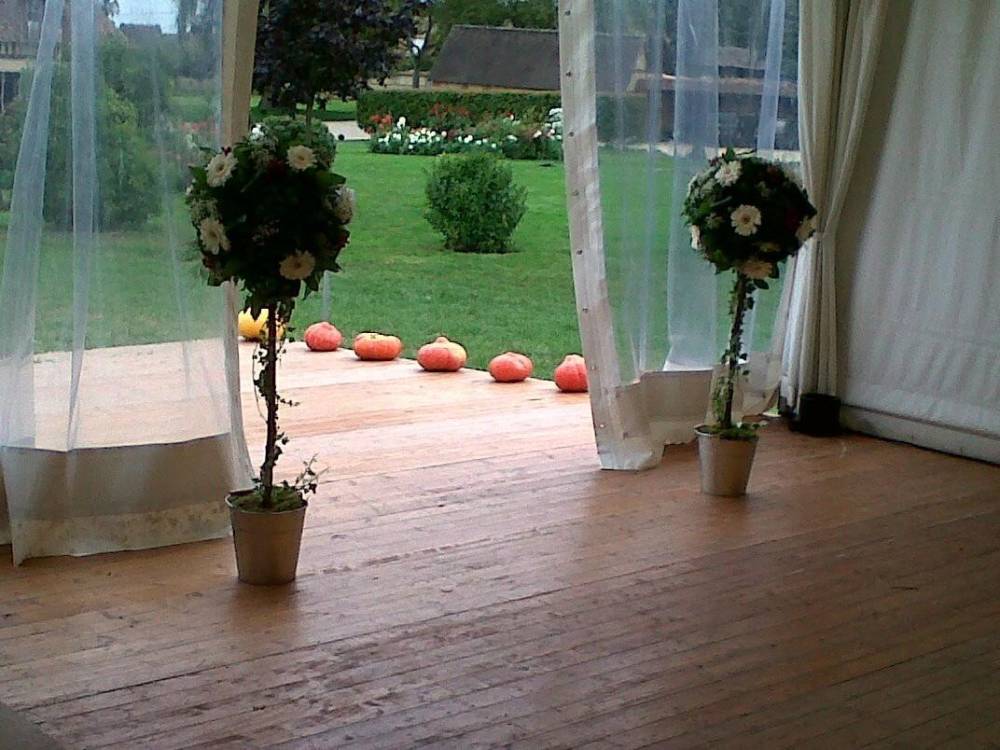 ceremonie exterieur-mimosa (8)