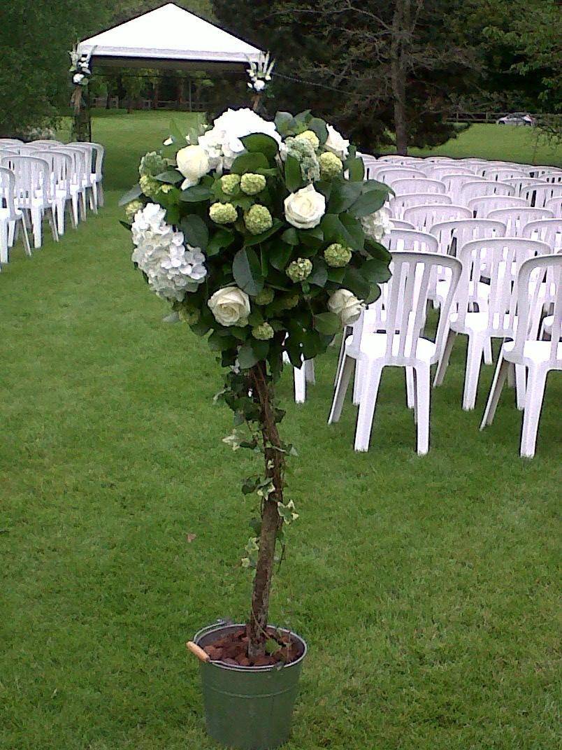 ceremonie exterieur-mimosa (13)