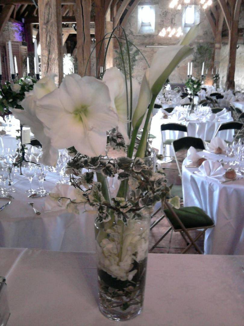 ceremonie exterieur-mimosa (22)