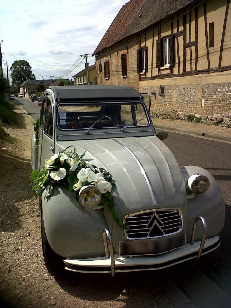 decoration eglise - mimosa (25)